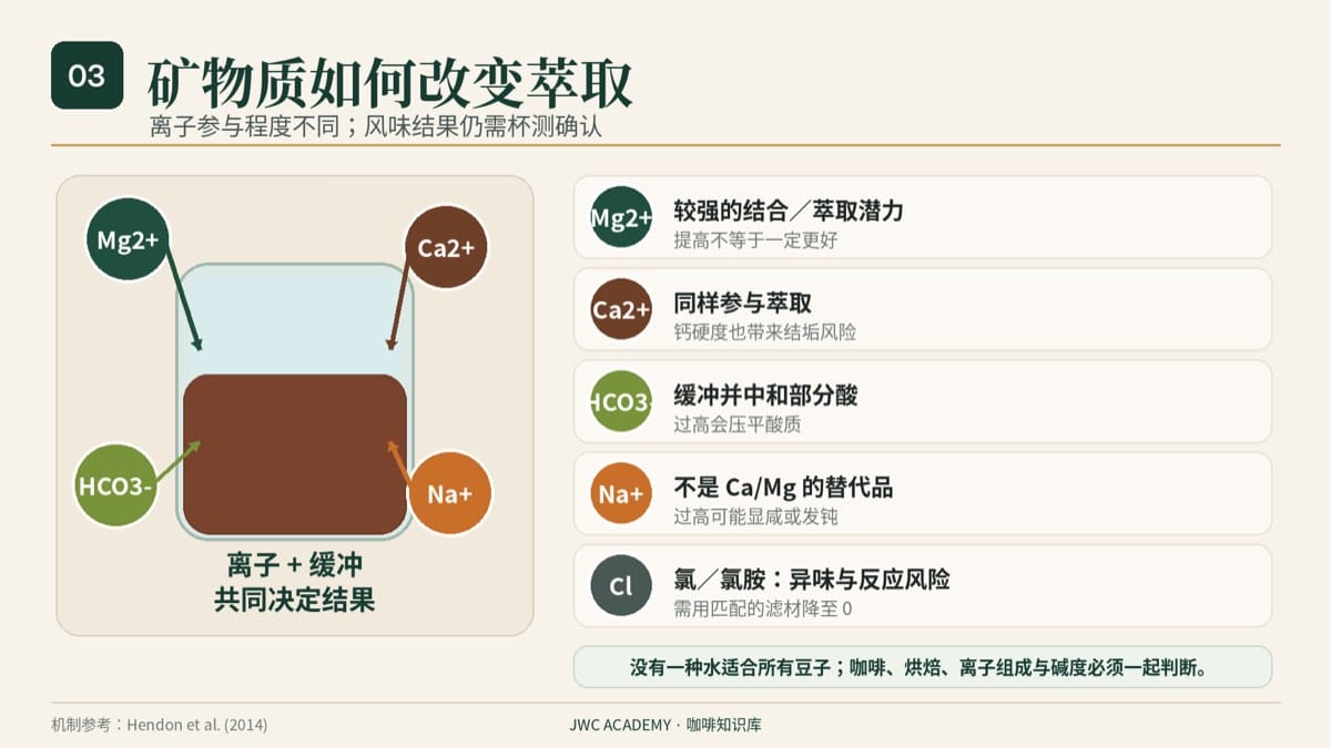 镁钙碳酸氢盐钠氯对咖啡风味的作用