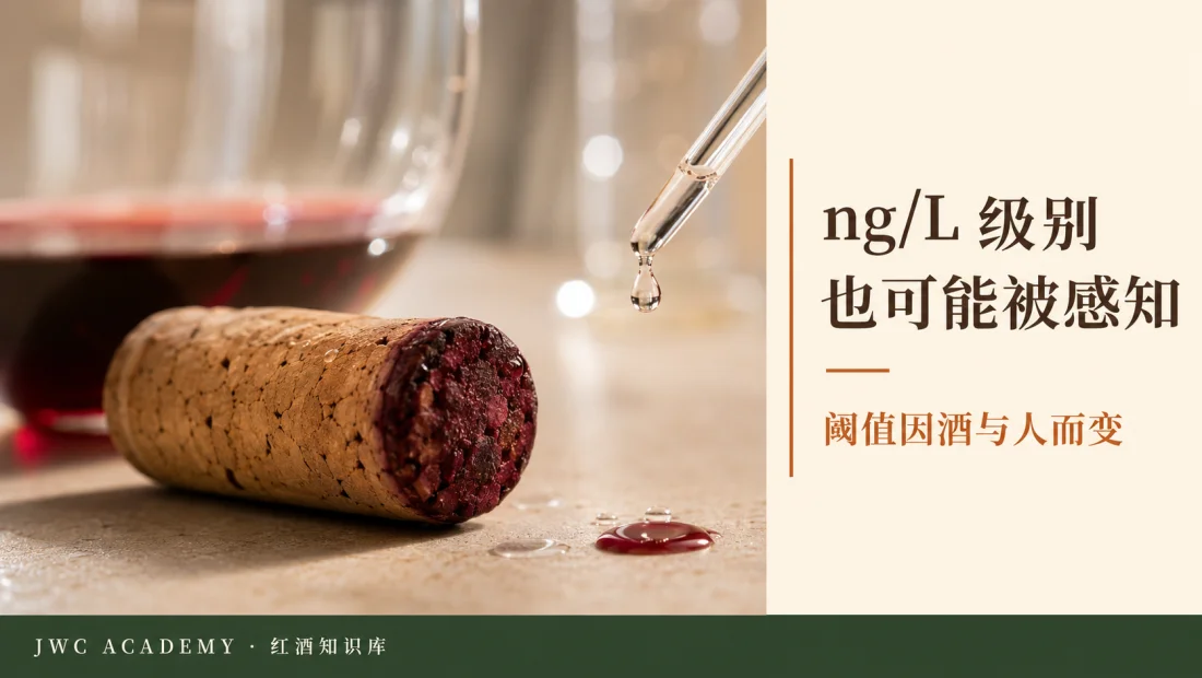 极低 ng/L 也可能影响，阈值因人而异